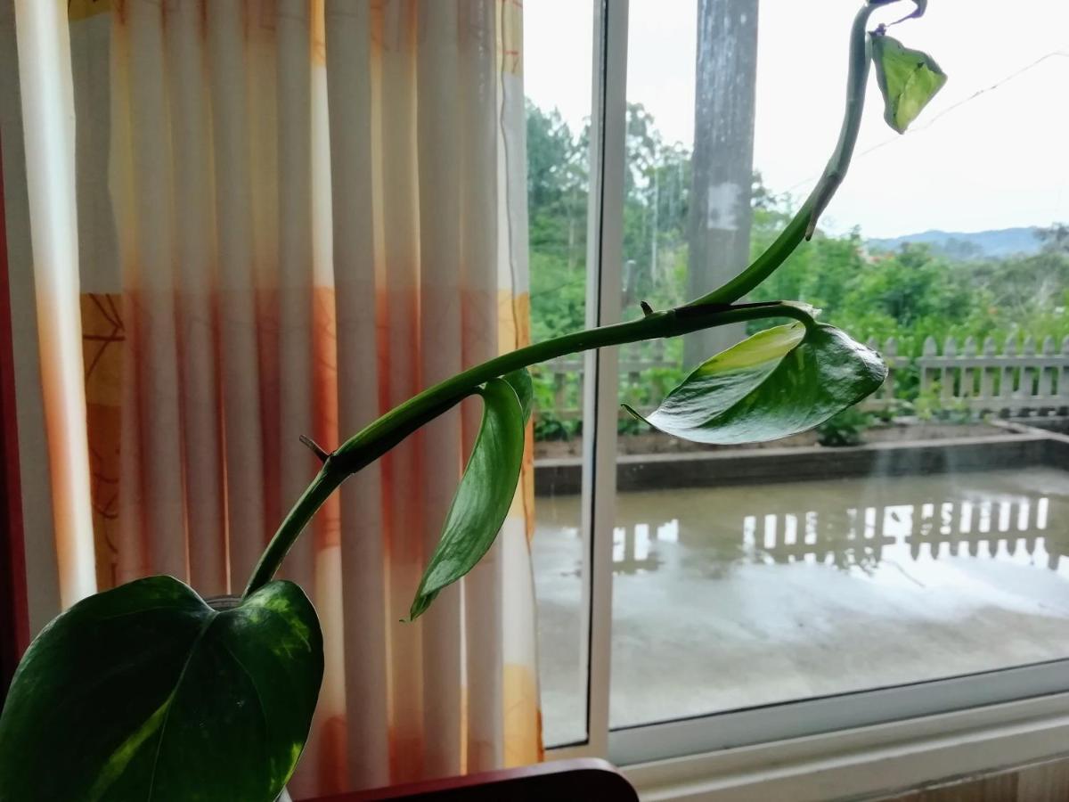 Ella Delightful Surround Homestay Zewnętrze zdjęcie