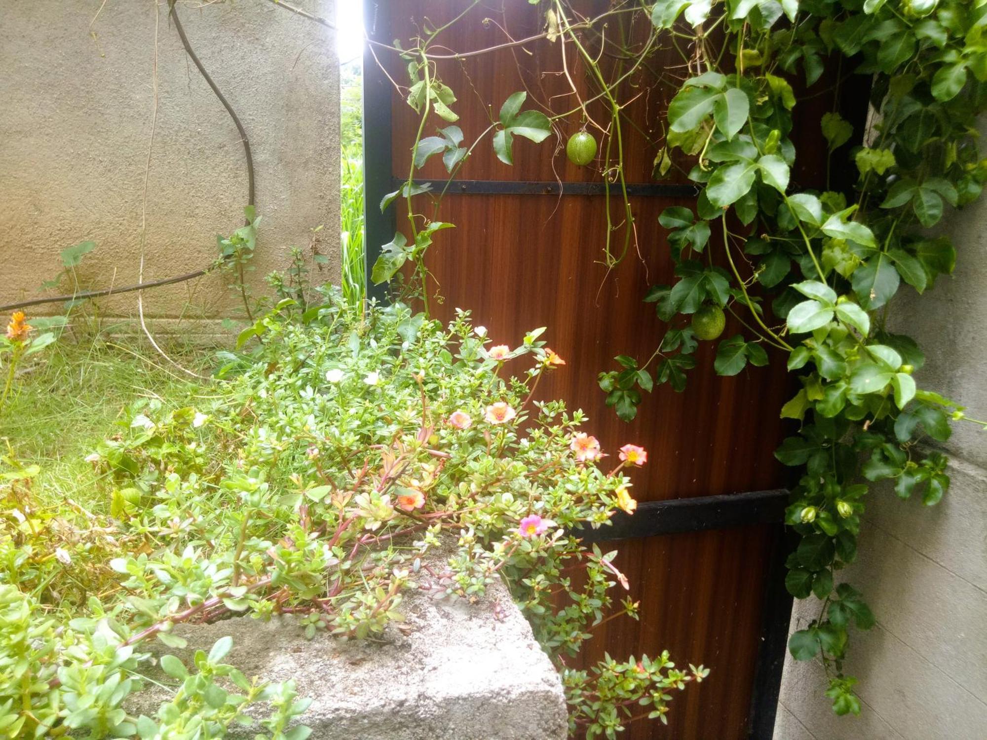 Ella Delightful Surround Homestay Zewnętrze zdjęcie